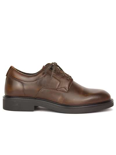 Ambitious 12261 Marron Scarpe Uomo 