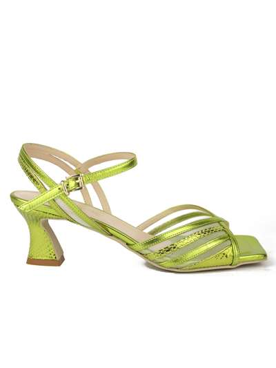 Sergio Cimadamore 437 Verde Scarpe Donna 