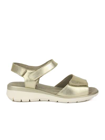 Tomasi PIA - CAMM.VIVERE Oro. Scarpe Donna 