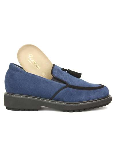 Tomasi BRIANZA - N.ALMA Bluette Scarpe Donna 