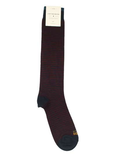 In The Box STRIPE CLASSIC NEW Bordeaux Accessori Uomo 