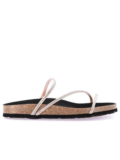 Grunland Donna SARA CB3476 Beige Scarpe Donna 