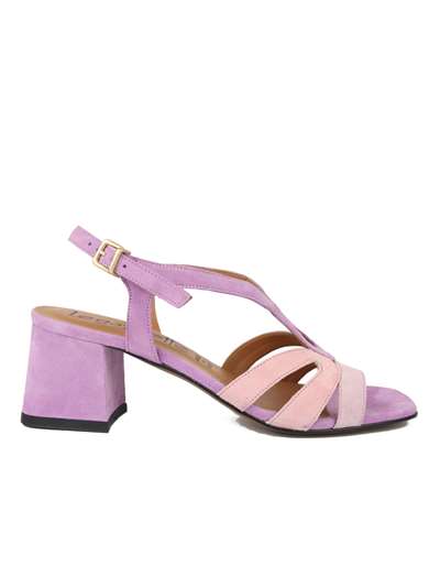 Le Gazzelle LGZ-608 Rosa Scarpe Donna 