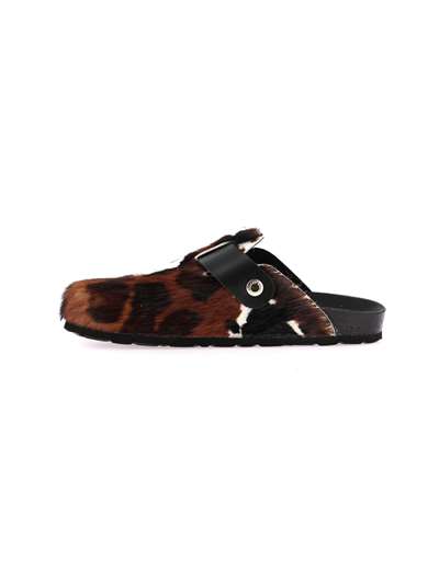 Grunland Donna SARA CB0793 Marr/sabb Scarpe Donna 