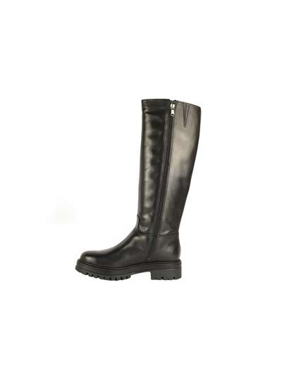 Brunelli Francesco 909 Nero Scarpe Donna 