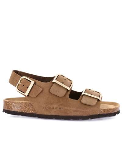 Grunland Donna SARA SB1186 Tortora Scarpe Donna 