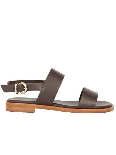 Frau Donna 86M1 T.moro Scarpe Donna 