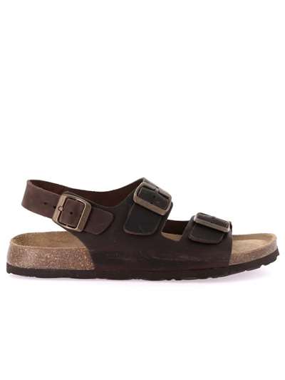 Grunland Uomo BOBO SB0396 Marron Scarpe Uomo 