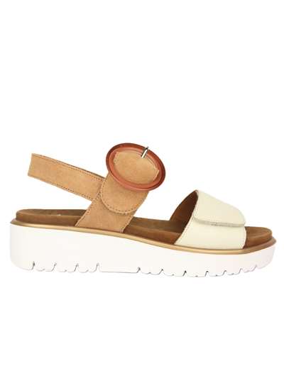 Ara Shoes 1233505 Bic/bege Scarpe Donna 