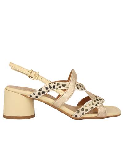 Le Gazzelle S502 Bronzo Scarpe Donna 